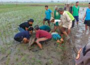 2 Petani