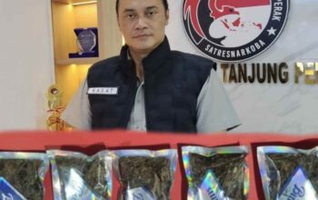 Ganja