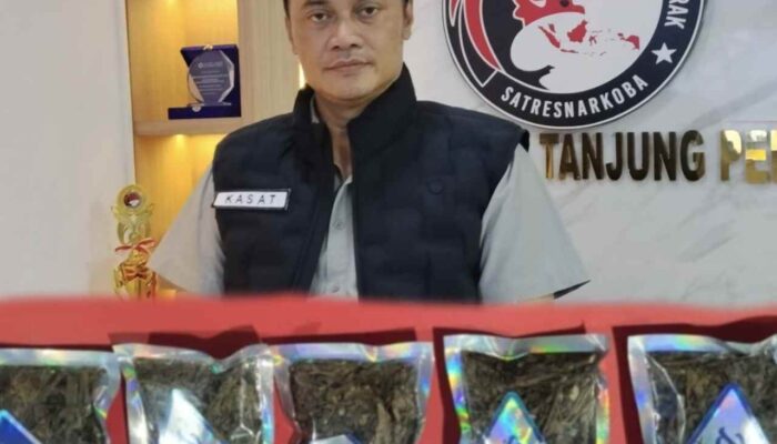 Satresnarkoba Polres Pelabuhan Tanjung Perak Ungkap Peredaran Ganja Online, Pemuda 23 Tahun Diamankan