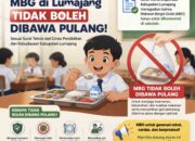 MBG