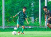 Nabil loverino