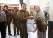 PLT Bupati