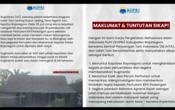 PMII