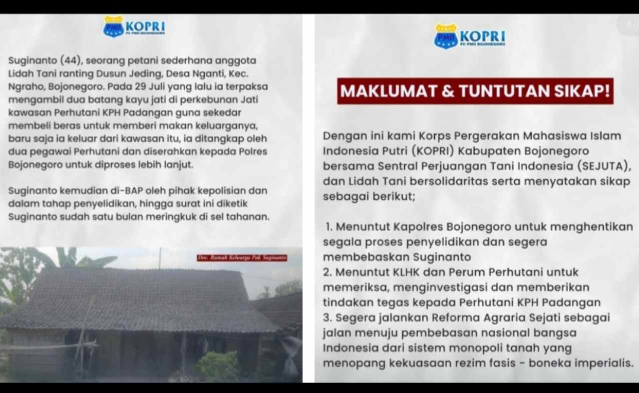 PMII