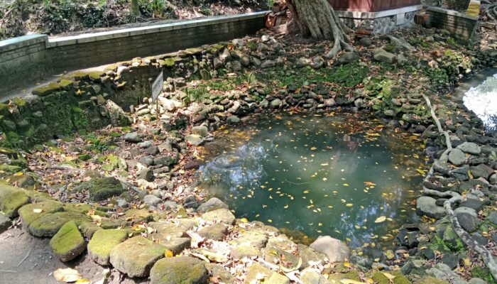 Situs Sendang Made Bakal Ditetapkan Jadi Cagar Budaya Jombang