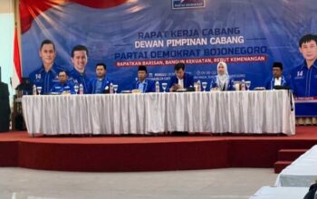 DPC Demokrat