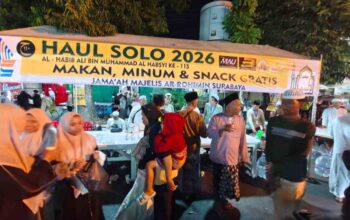 Haul Solo