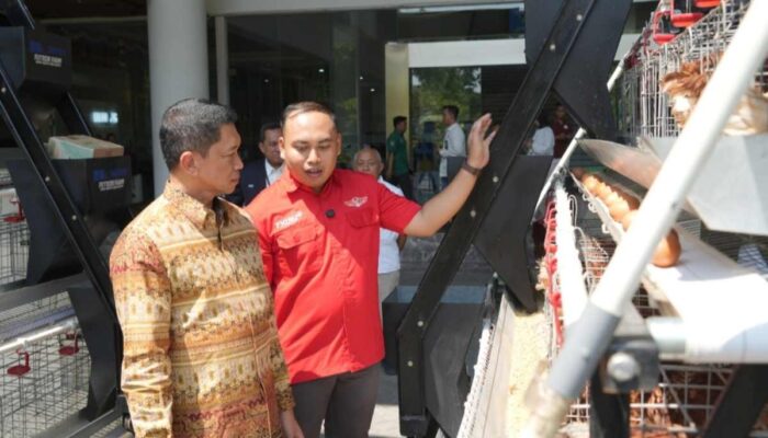 Futechi Farm, Otomasi Peternakan Ayam Petelur ala ITS