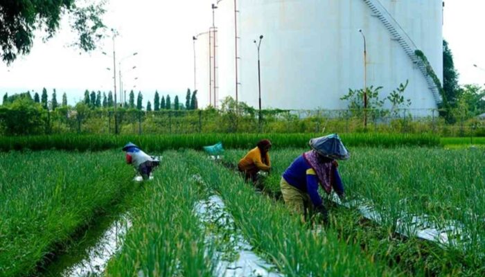 JATAM Kritisi Rencana Pengembangan CCUS di Lapangan Migas Sukowati Bojonegoro