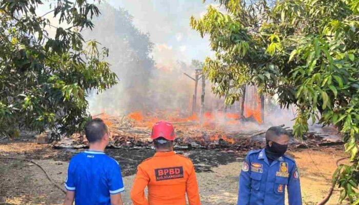 Kebakaran di Jalan Sarimulyo Bojonegoro: Rumah Kayu Ludes Jadi Arang