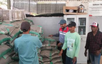 Jaga Hutan Dulang Rupiah: Transformasi Petani Desa Bandungrejo dengan Pertamina EP Cepu