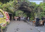Ultah Iriana